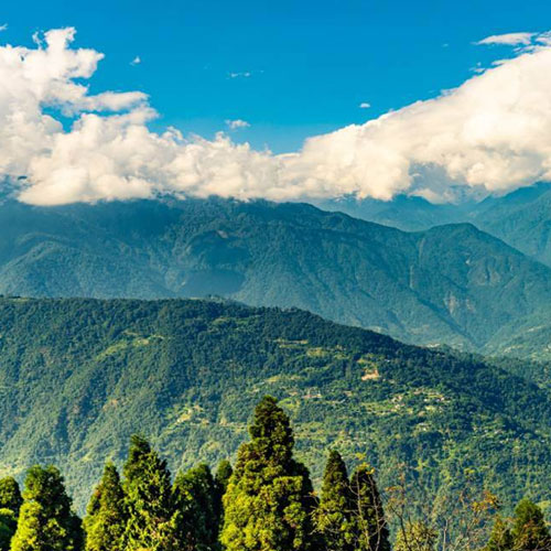 Pelling