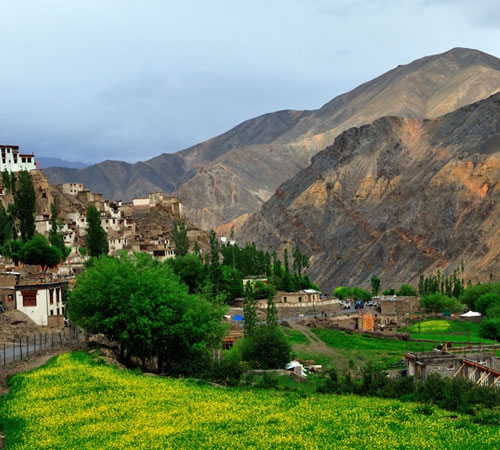 Thrilling Leh Ladakh Tour with Pangong Lake